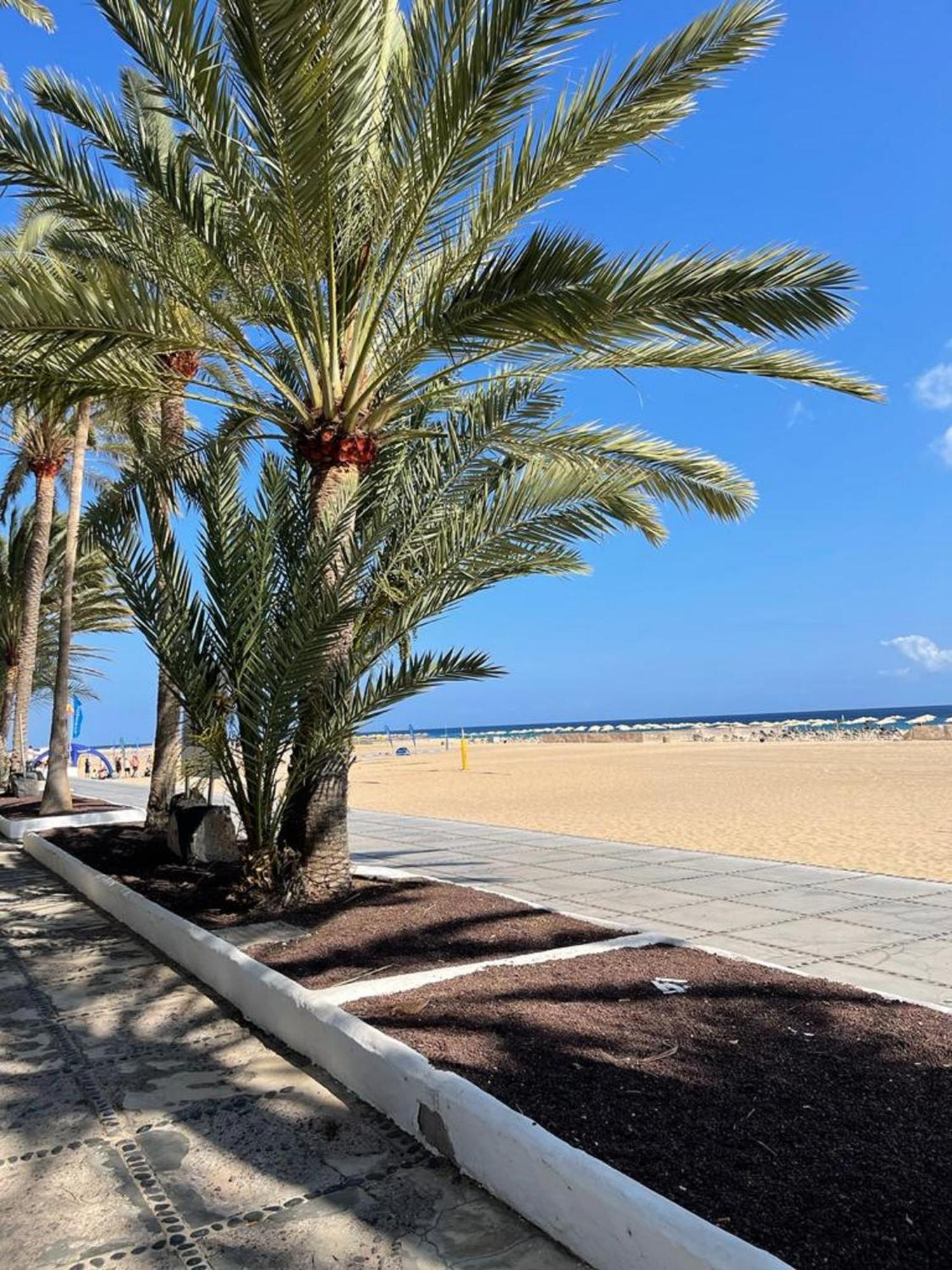 Casa Reina Apartman Playa Jandia Kültér fotó