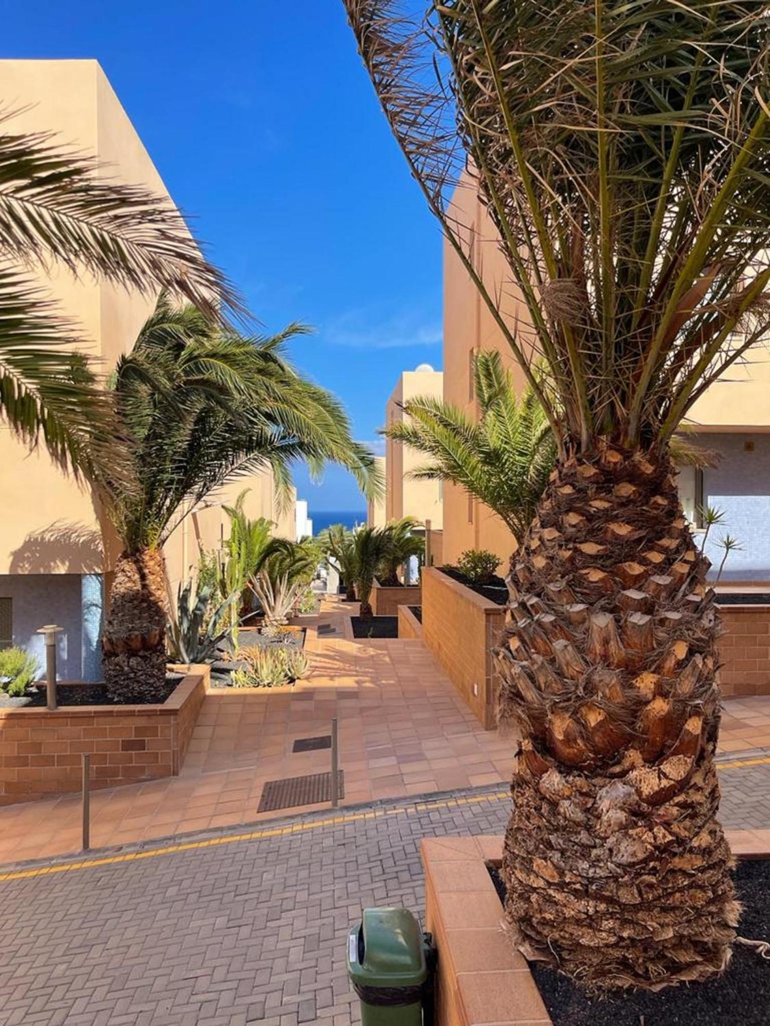 Casa Reina Apartman Playa Jandia Kültér fotó